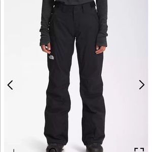 The north face freedom insulated snow pants